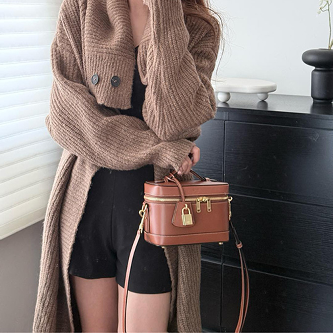 celine triomphe canvas vanity box bag